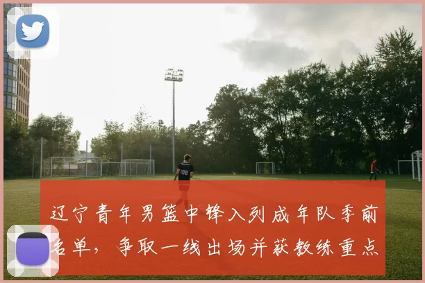 辽宁青年男篮中锋入列成年队季前名单，争取一线出场并获教练重点观察