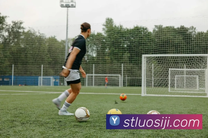 博亚汇app(中国)官方入口平台生态图